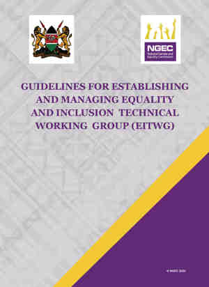GUIDELINES FOR MANAGING AND ESTABLISHING EQUALITY AND INCLUSION TECHNICAL WORKING GROUPS