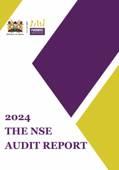 THE NSE AUDIT REPORT