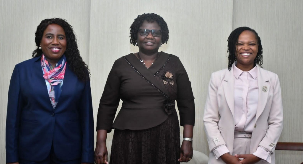 INCLUSIVE EDUCATION MUST MOVE FROM COMMITMENT TO PRACTICE, REGIONAL CONFERENCE TOLD