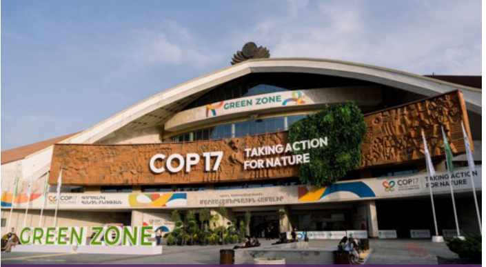NGEC CARRIES PASTORALIST WOMEN’S AGENDA TO COP17