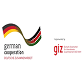 GIZ